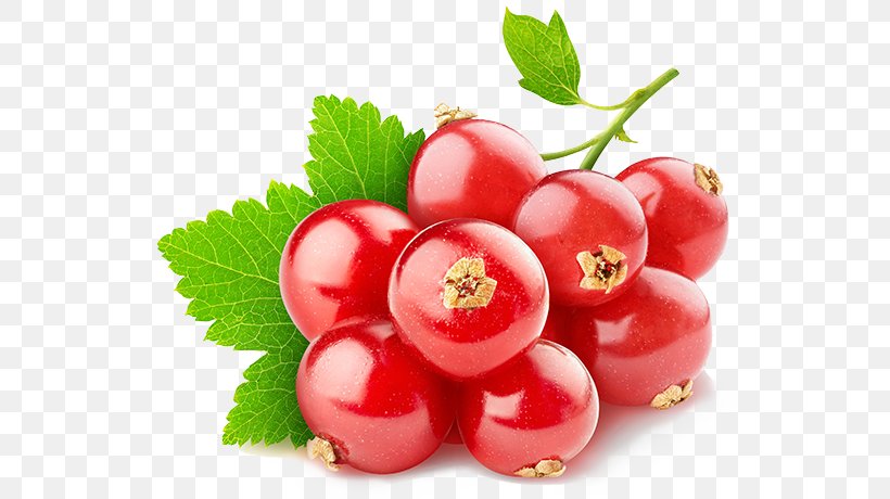 Blackcurrant Redcurrant Wine Stock Photography Berries, PNG, 690x460px, Blackcurrant, Acerola, Acerola Family, Berries, Berry Download Free
