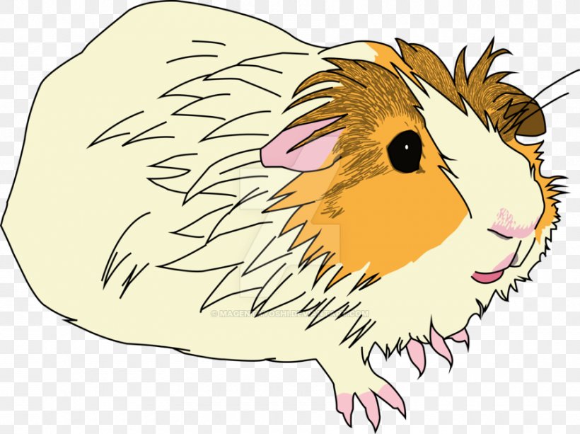 Rodent Guinea Pig Mouse Rat Mammal, PNG, 900x673px, Rodent, Animal, Cartoon, Fauna, Guinea Pig Download Free