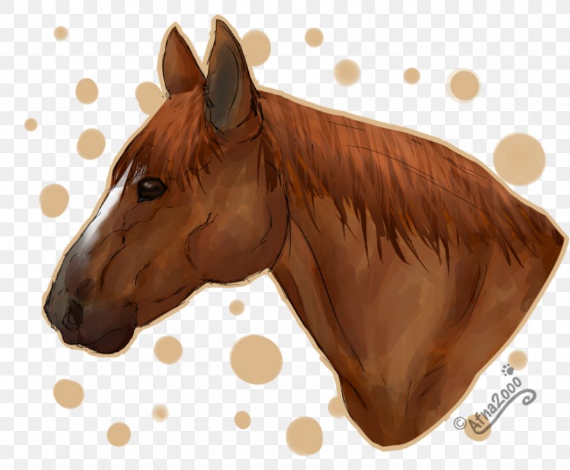 American Quarter Horse Stallion Pony Horse Head Mask Animation, PNG, 900x742px, American Quarter Horse, Animal, Animation, Bridle, Equine Anatomy Download Free