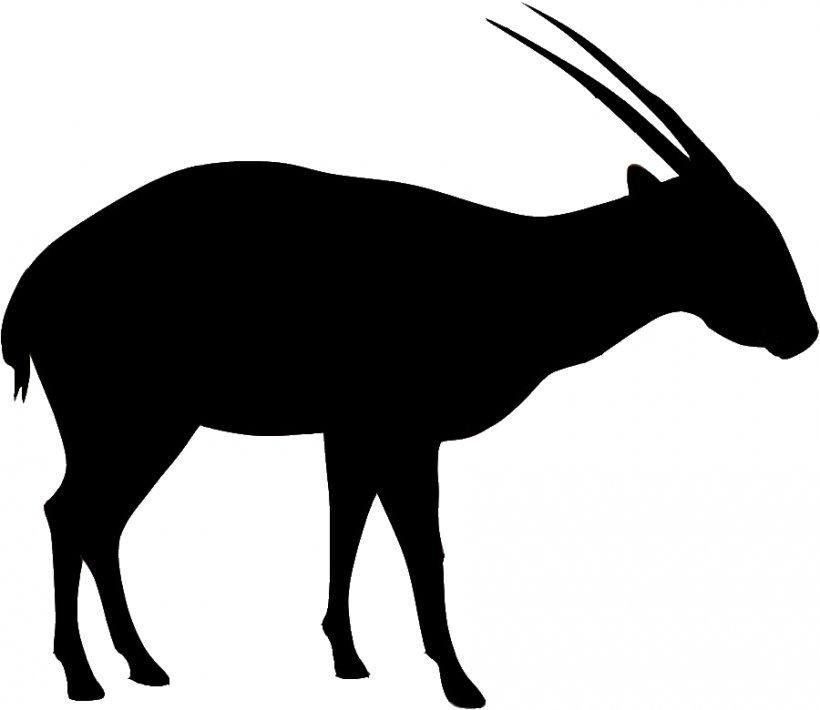 Antelope Saola Annamite Range Gemsbok Bovid, PNG, 900x780px, Antelope, Animal, Black And White, Blackbuck, Bovid Download Free