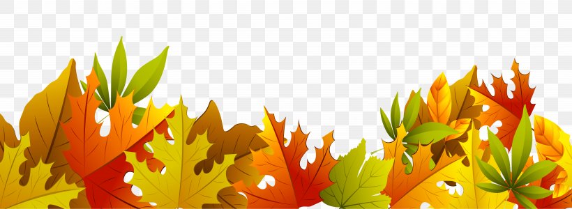 Autumn Leaf Color Clip Art, PNG, 10290x3766px, Autumn, Autumn Leaf Color, Flower, Free Content, Leaf Download Free