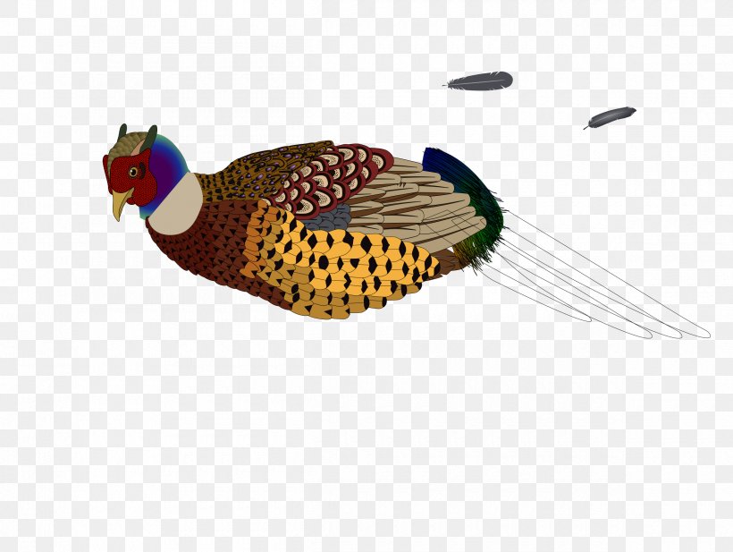 Bird Pheasant Clip Art, PNG, 2400x1806px, Bird, Beak, Fauna, Feather, Galliformes Download Free