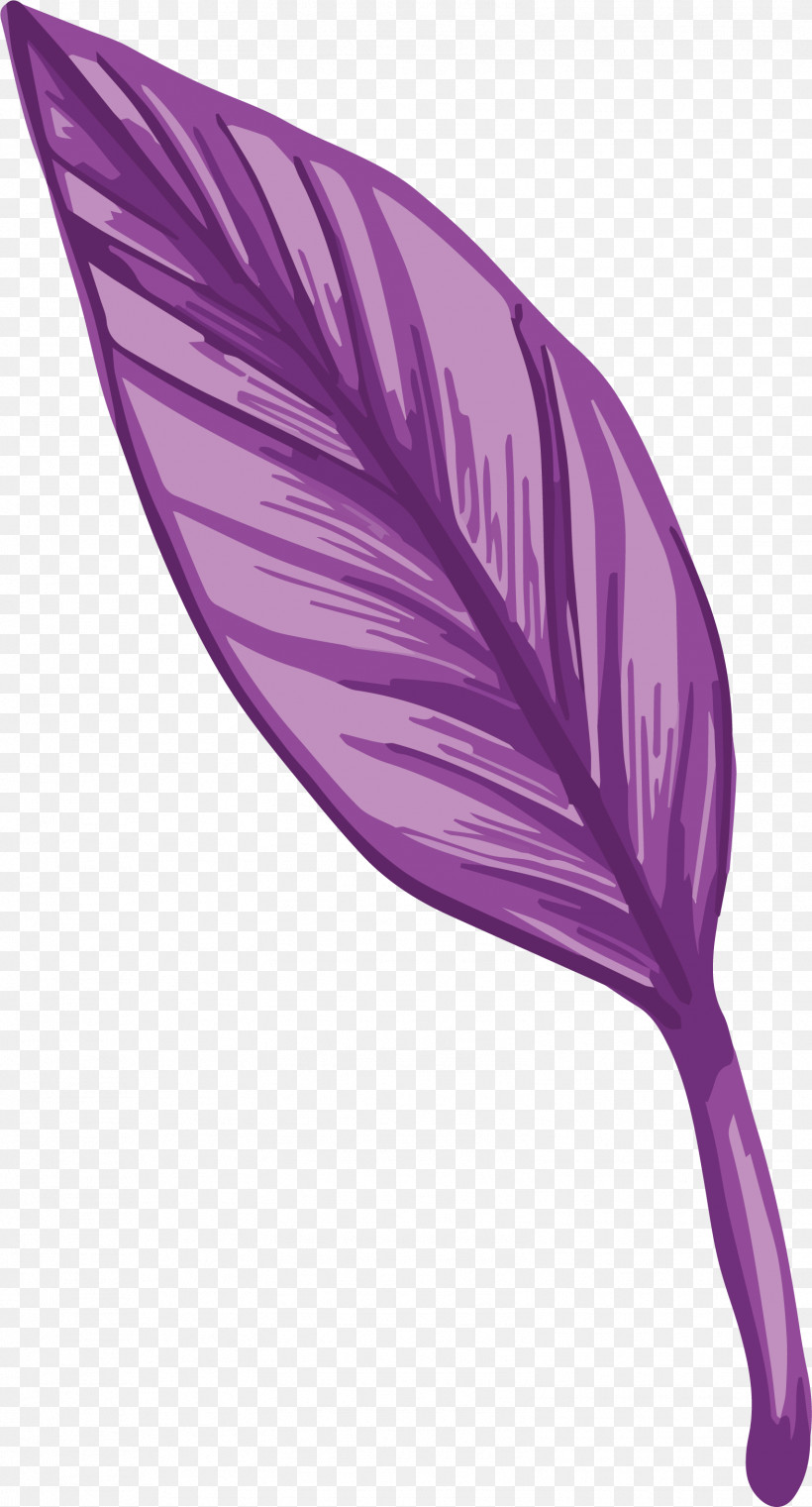 Feather, PNG, 1574x2921px, Purple, Feather Download Free