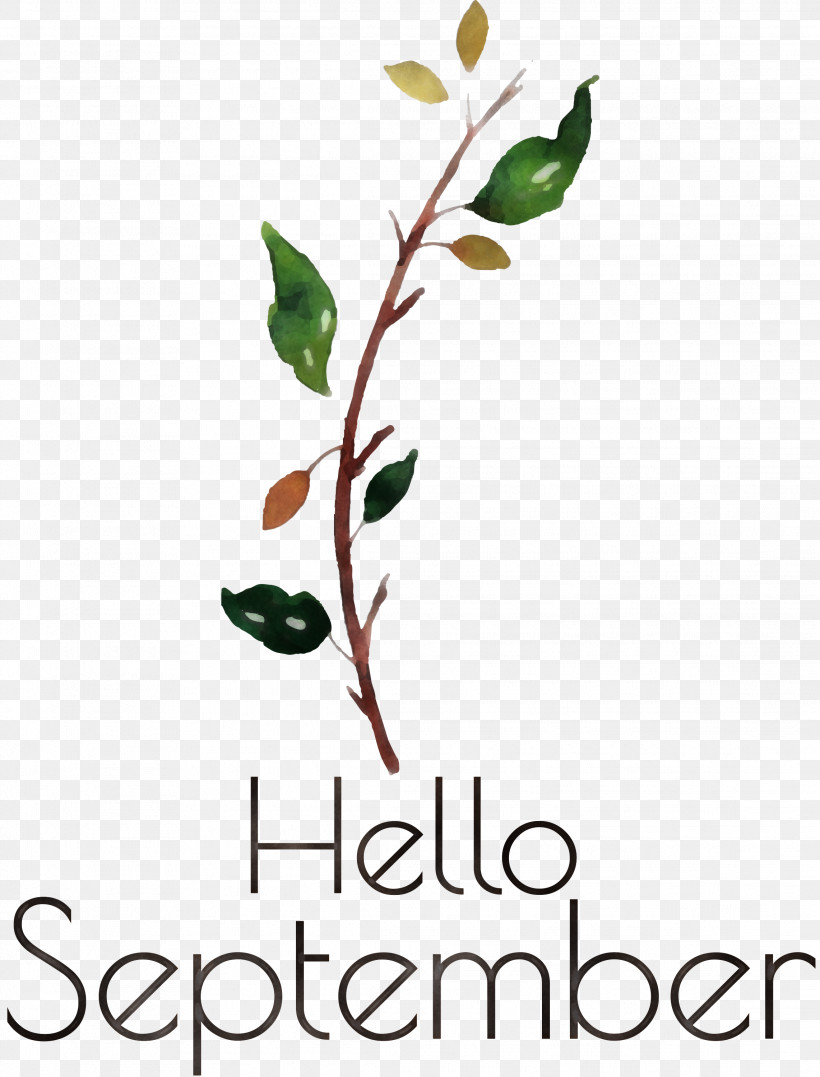 Hello September September, PNG, 2283x3000px, Hello September, Biology, Flower, Leaf, Meter Download Free