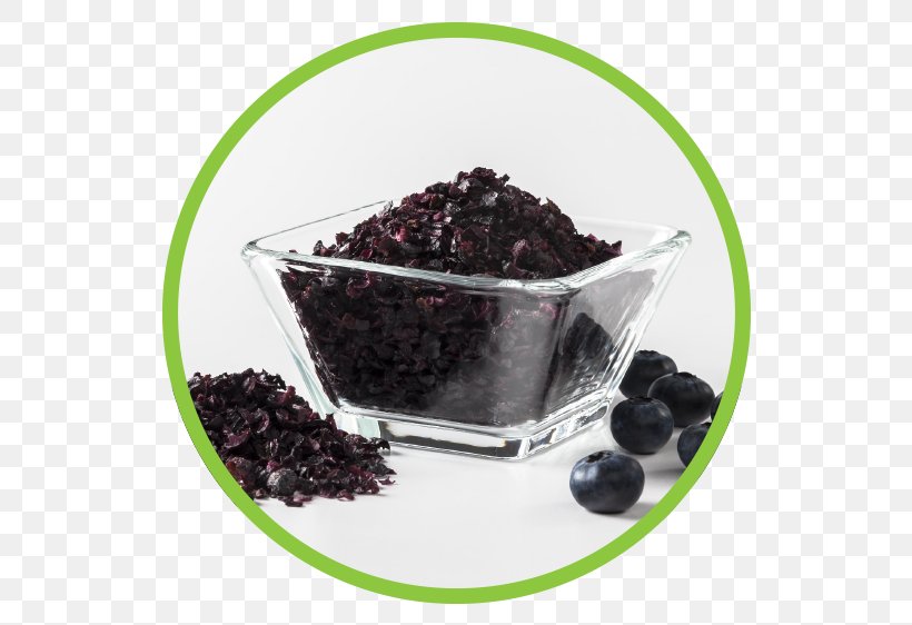 Hotel Aronia Beach Food Fruit Chokeberry Blueberry, PNG, 562x562px, Food, Berry, Blueberry, Caviar, Chokeberry Download Free