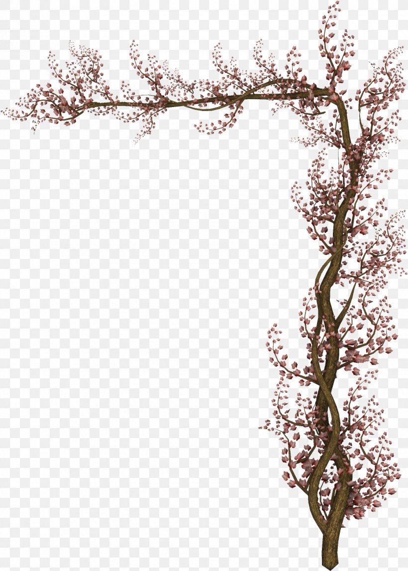 Liana Satires Tree Plant Stem, PNG, 1749x2448px, Liana, Black And White, Blossom, Branch, Cherry Blossom Download Free