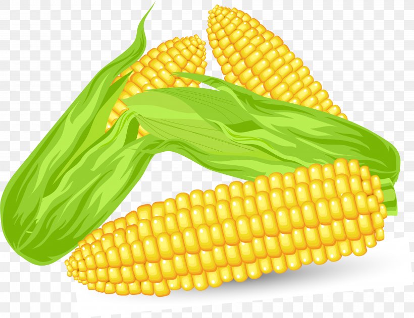Corn On The Cob Candy Corn Maize, PNG, 3840x2957px, Corn On The Cob, Candy Corn, Cdr, Commodity, Corn Kernels Download Free