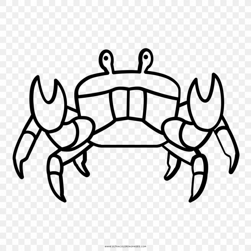 Crab Black And White Drawing Coloring Book, PNG, 1000x1000px