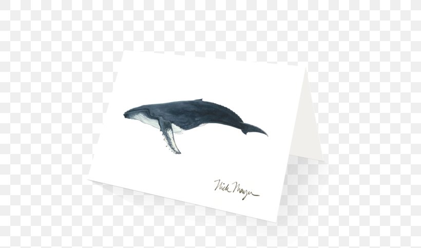 Dolphin Humpback Whale Painting Cetaceans, PNG, 600x483px, Dolphin, Cetaceans, Fin, Humpback Whale, Marine Mammal Download Free