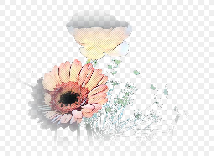 Transvaal Daisy Illustration Floral Design Desktop Wallpaper, PNG, 800x598px, Transvaal Daisy, Barberton Daisy, Computer, Cut Flowers, Daisy Family Download Free