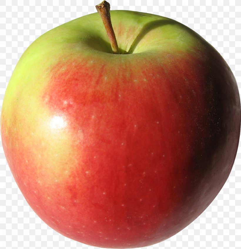 Apple Clip Art, PNG, 1421x1469px, Apple, Accessory Fruit, Data, Diet Food, Food Download Free