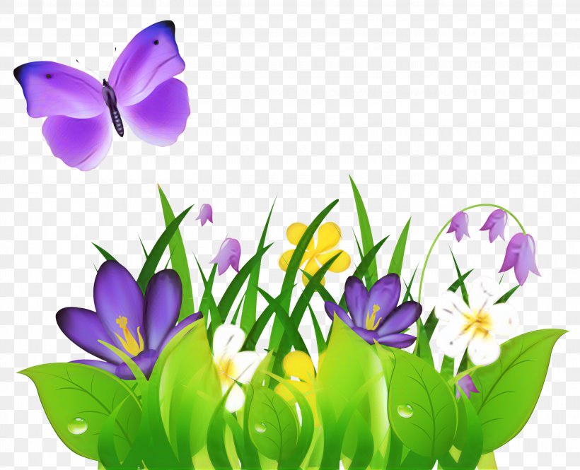 Clip Art Flower Free Content Image, PNG, 3000x2434px, Flower, Bellflower Family, Botany, Butterfly, Crocus Download Free