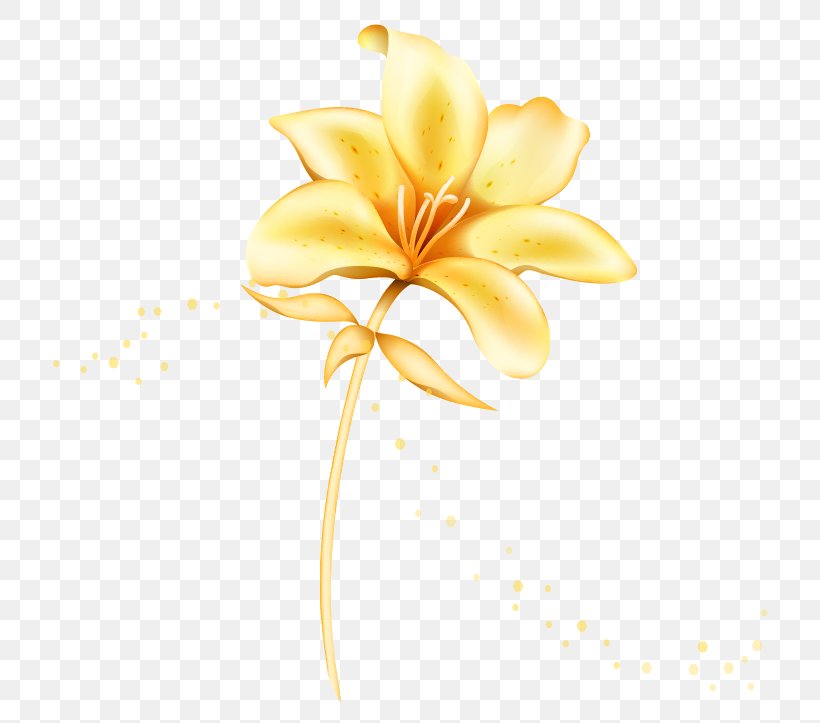 Flower Euclidean Vector Lilium, PNG, 805x723px, Flower, Gold, Golden Flowers, Lilium, Peach Download Free