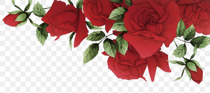 Garden Roses Beach Rose Red Flower, PNG, 900x400px, Garden Roses, Beach Rose, Cut Flowers, Flora, Floral Design Download Free