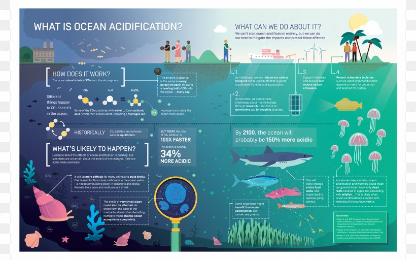 Ocean Acidification Global Warming Carbon Dioxide, PNG, 1920x1200px, Ocean Acidification, Advertising, Brand, Carbon Dioxide, Display Advertising Download Free