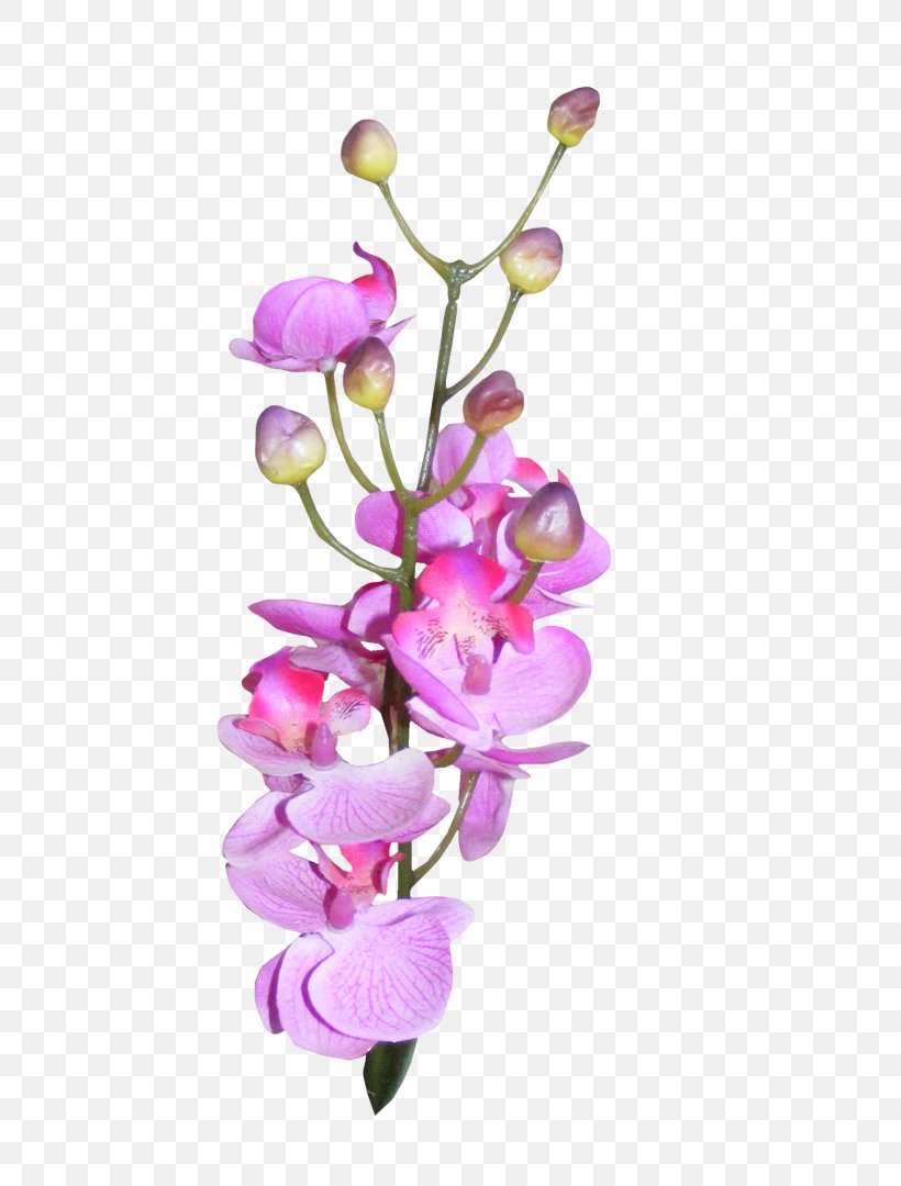 Purple Orchids, PNG, 514x1080px, Presentation, Blog, Blossom, Branch, Cut Flowers Download Free