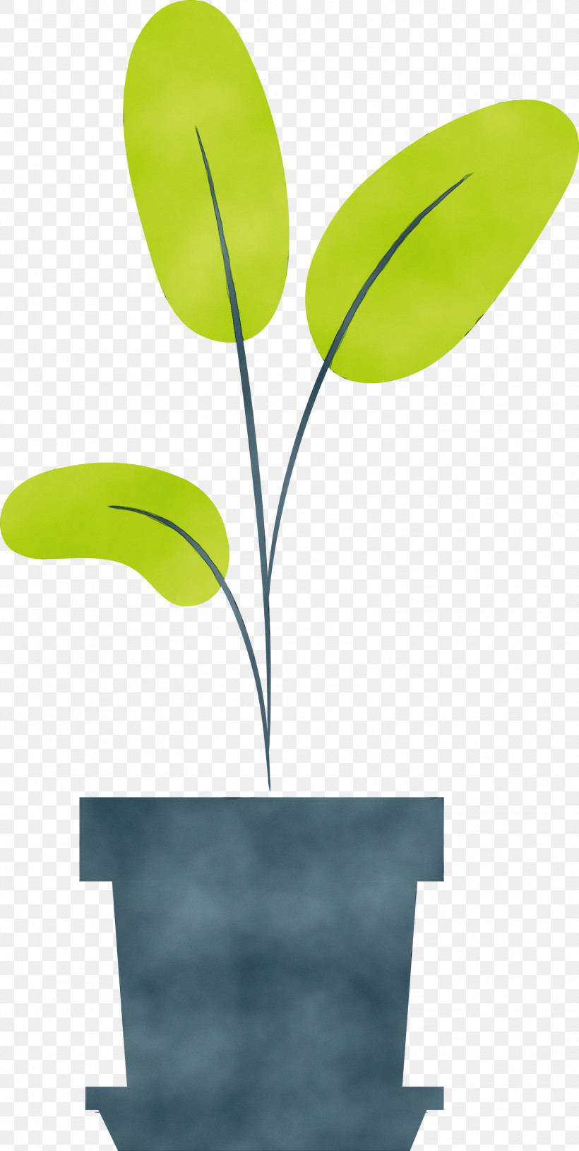 Leaf Plant Stem Green Font Line, PNG, 1510x3000px, Watercolor, Biology, Green, Leaf, Line Download Free
