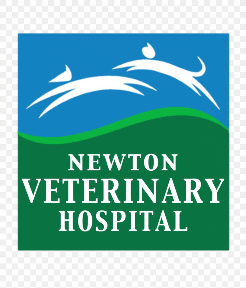 Newton Veterinary Hospital Cat Veterinarian Clinique Vétérinaire, PNG, 872x1024px, Newton, Animal Welfare, Area, Brand, Cat Download Free