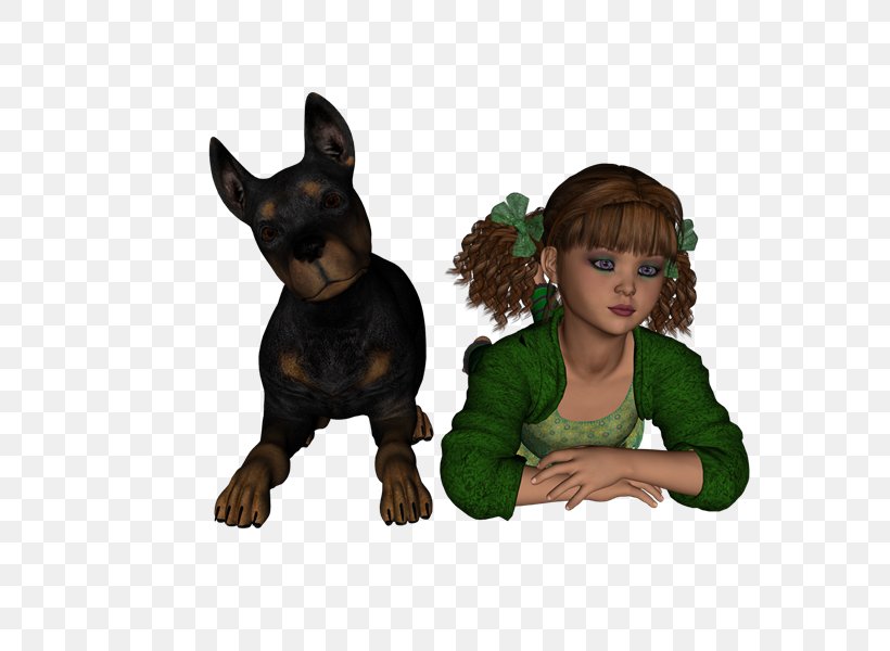Miniature Pinscher Puppy Guard Dog Dog Breed, PNG, 800x600px, Miniature Pinscher, Breed, Carnivoran, Dog, Dog Breed Download Free