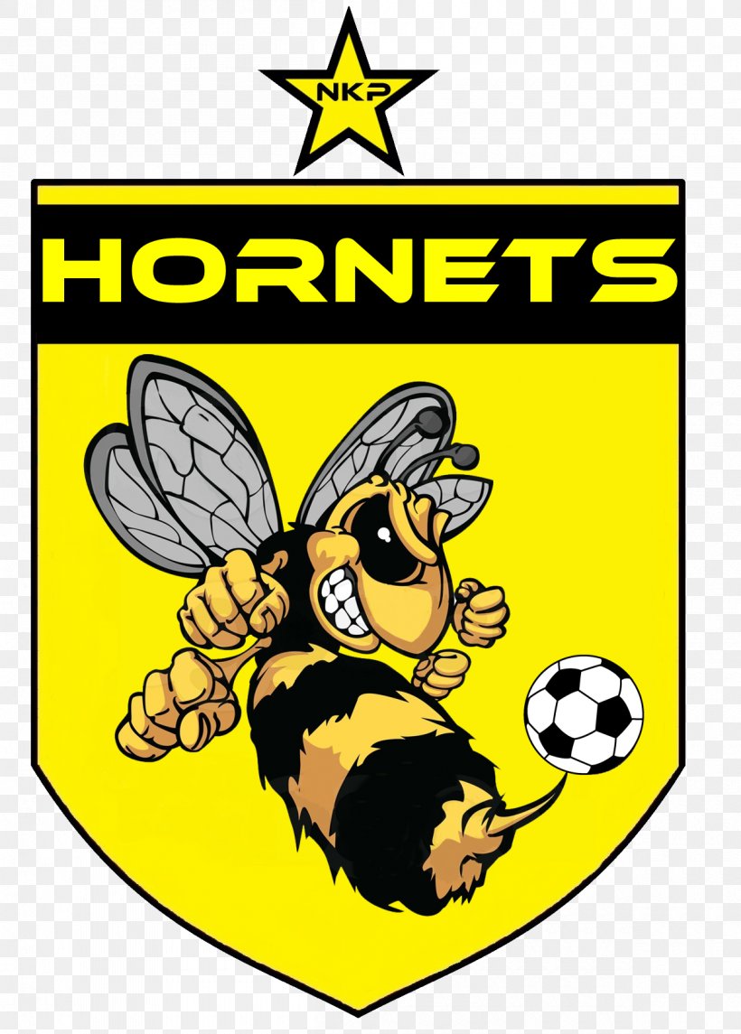 Bee Hornet Sticker Rugby Pest Control Clip Art, PNG, 1200x1676px, Bee, Area, Artwork, Ball, Business Download Free