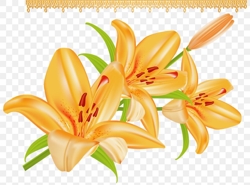 Lilium Bulbiferum Arranging Cut Flowers, PNG, 800x608px, Lilium Bulbiferum, Arranging Cut Flowers, Cut Flowers, Daylily, Del Download Free