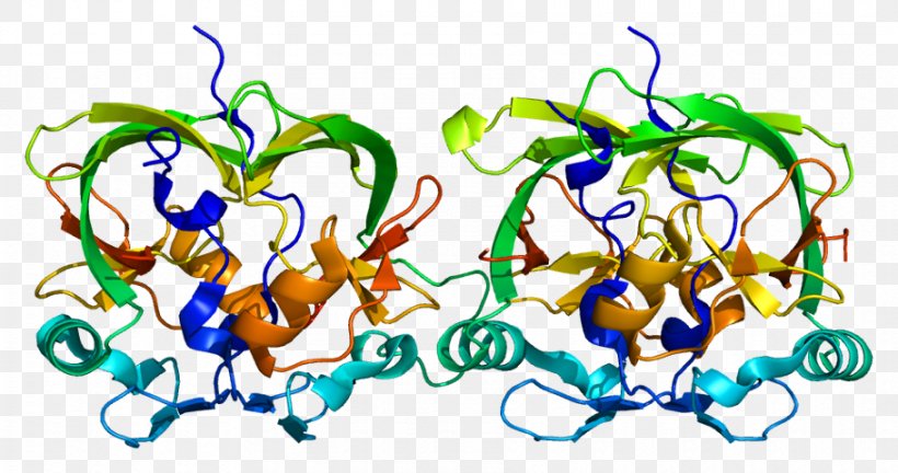 Ataxin 1 Spinocerebellar Ataxia Polyglutamine Tract Trinucleotide Repeat Disorder, PNG, 910x480px, Spinocerebellar Ataxia, Art, Artwork, Disease, Gene Download Free