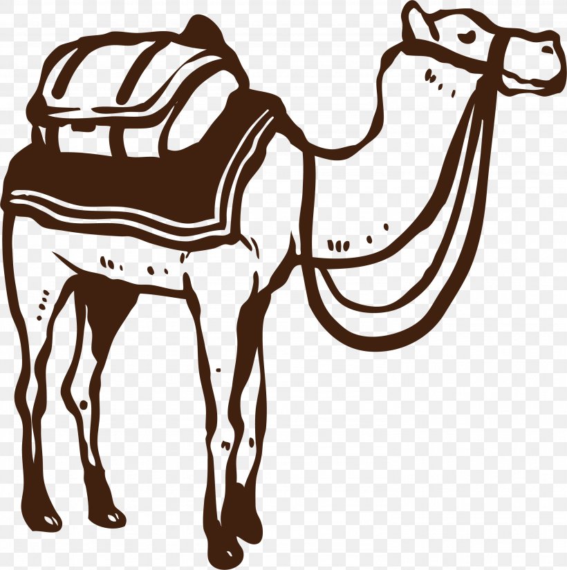 Camel Desert, PNG, 2969x2988px, Camel, Black And White, Bridle, Camel Like Mammal, Desert Download Free