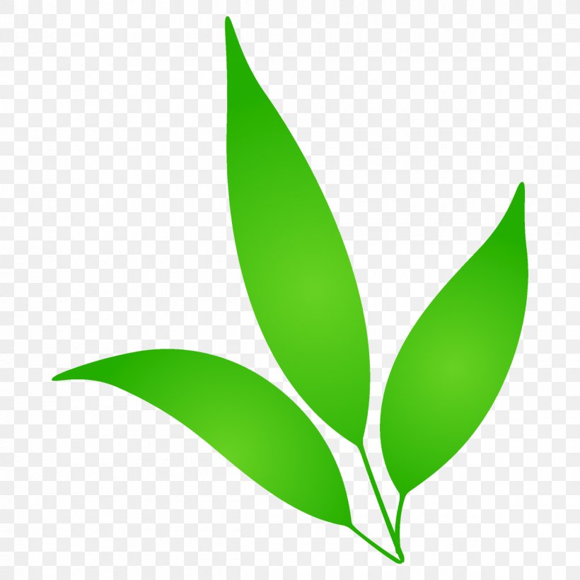 Leaf Green Plant Logo Flower, PNG, 1200x1200px, Cartoon Leaf, Cute Leaf, Flower, Green, Leaf Download Free