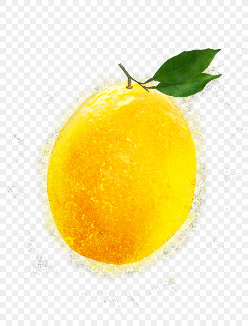 Lemon Citron Clementine Mandarin Orange Citrus Junos, PNG, 4424x5822px, Lemon, Acid, Citric Acid, Citron, Citrus Download Free