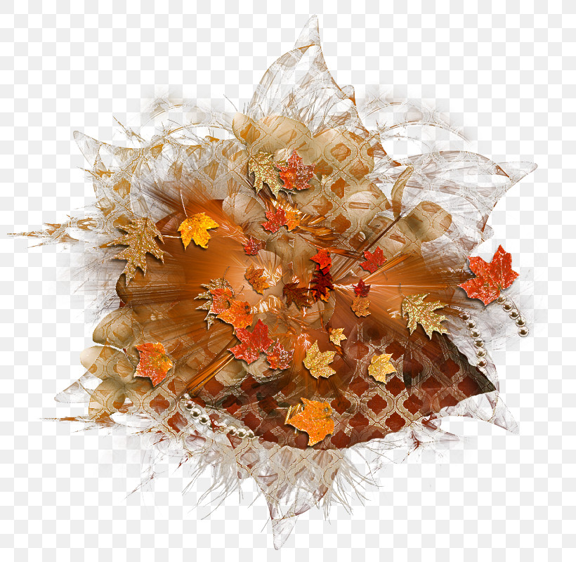 Orange, PNG, 800x800px, Orange, Bouquet, Cut Flowers, Flower, Plant Download Free