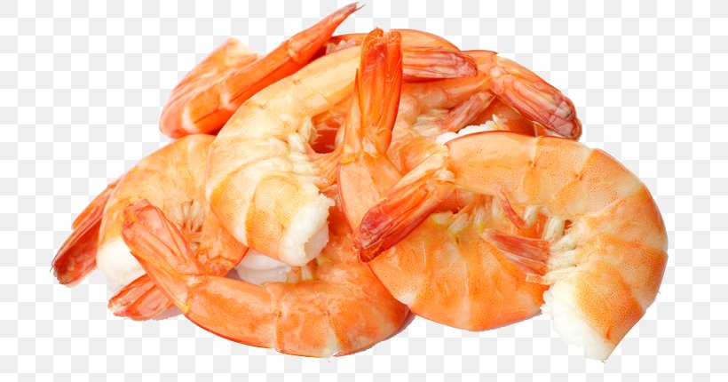 Caridea Scampi Prawns Seafood Shrimp, PNG, 720x430px, Caridea, Animal Source Foods, Caridean Shrimp, Customer, Dendrobranchiata Download Free