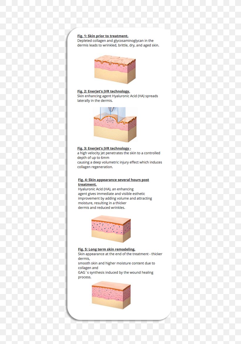 Dermis Scar Hyaluronic Acid Skin Wound Healing, PNG, 565x1170px, Watercolor, Cartoon, Flower, Frame, Heart Download Free