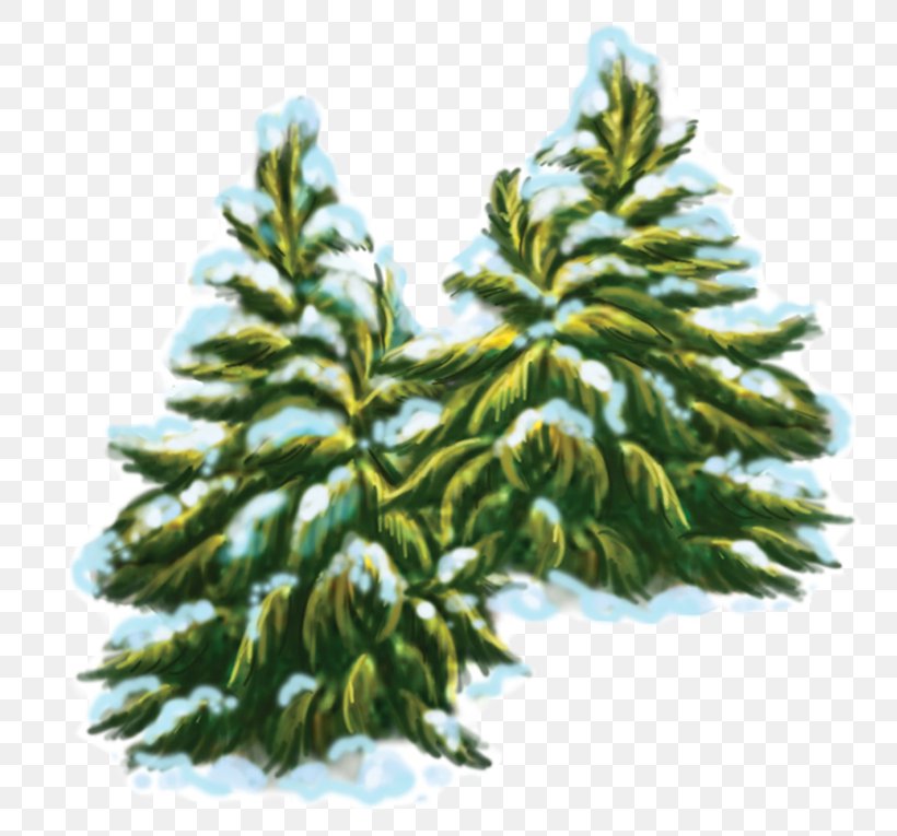 Spruce Pine Fir Clip Art, PNG, 800x765px, Spruce, Branch, Cartoon, Christmas Decoration, Christmas Tree Download Free
