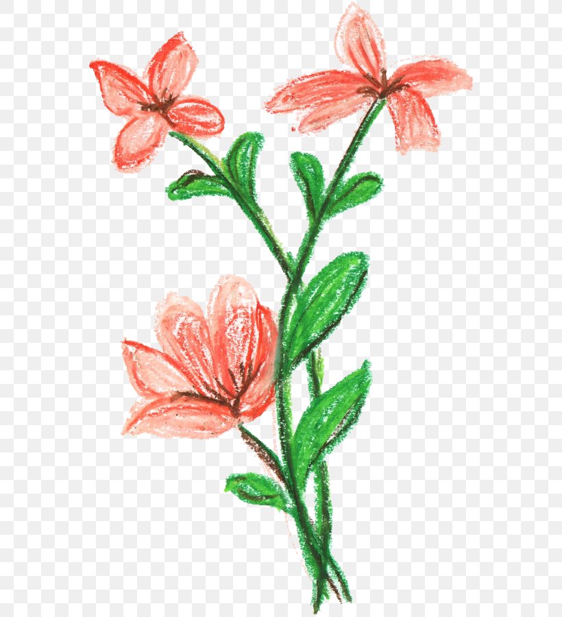 Cut Flowers Plant Stem Amaryllis Belladonna, PNG, 562x900px, Flower, Amaryllis, Amaryllis Belladonna, Cut Flowers, Flora Download Free