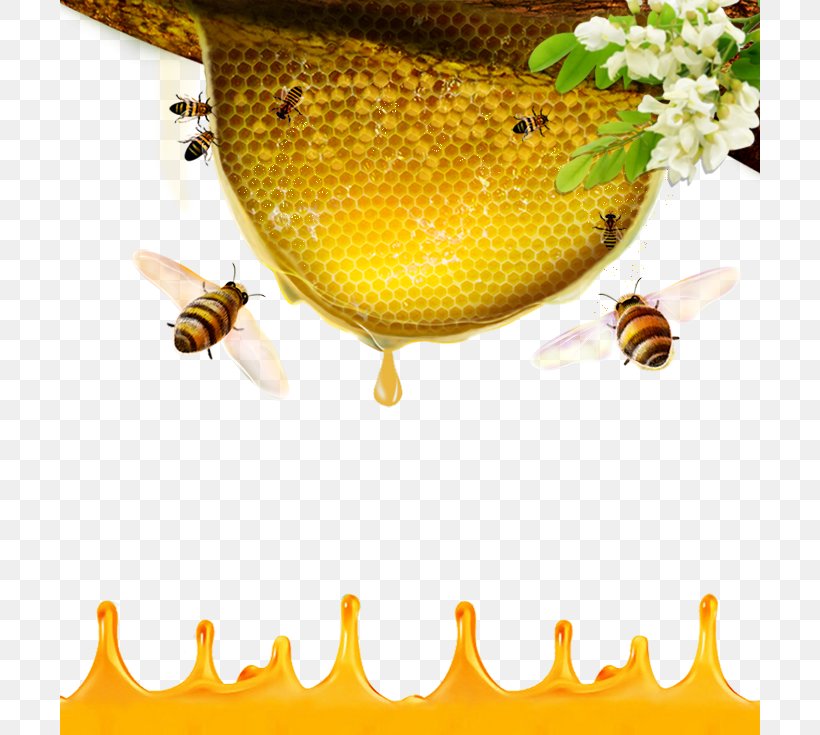 Honey Bee Beehive, PNG, 700x735px, Honey Bee, Bee, Beehive, Black Locust, Food Download Free