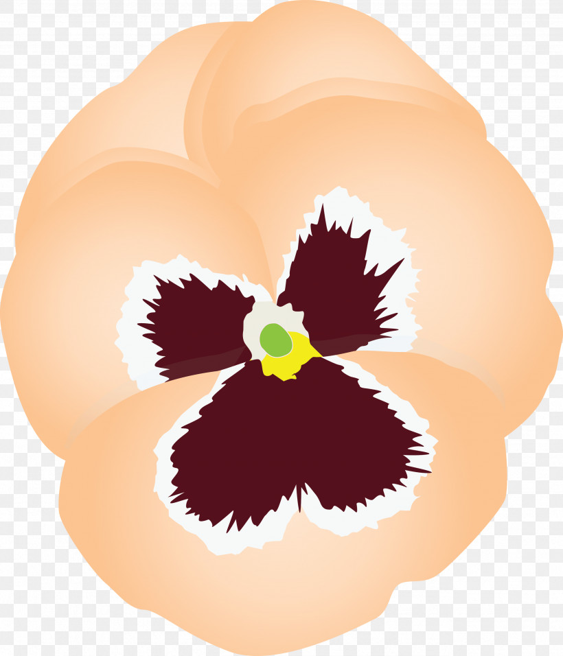 PANSY Spring Flower, PNG, 2571x3000px, Pansy, Cattleya, Flower, Iris, Petal Download Free