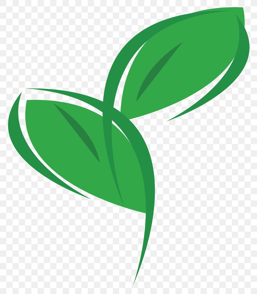 Plant Environmentally Friendly Logo Clip Art, PNG, 800x939px, Plant, Eco Office Plants Ltd, Environmentally Friendly, Flower, Grass Download Free