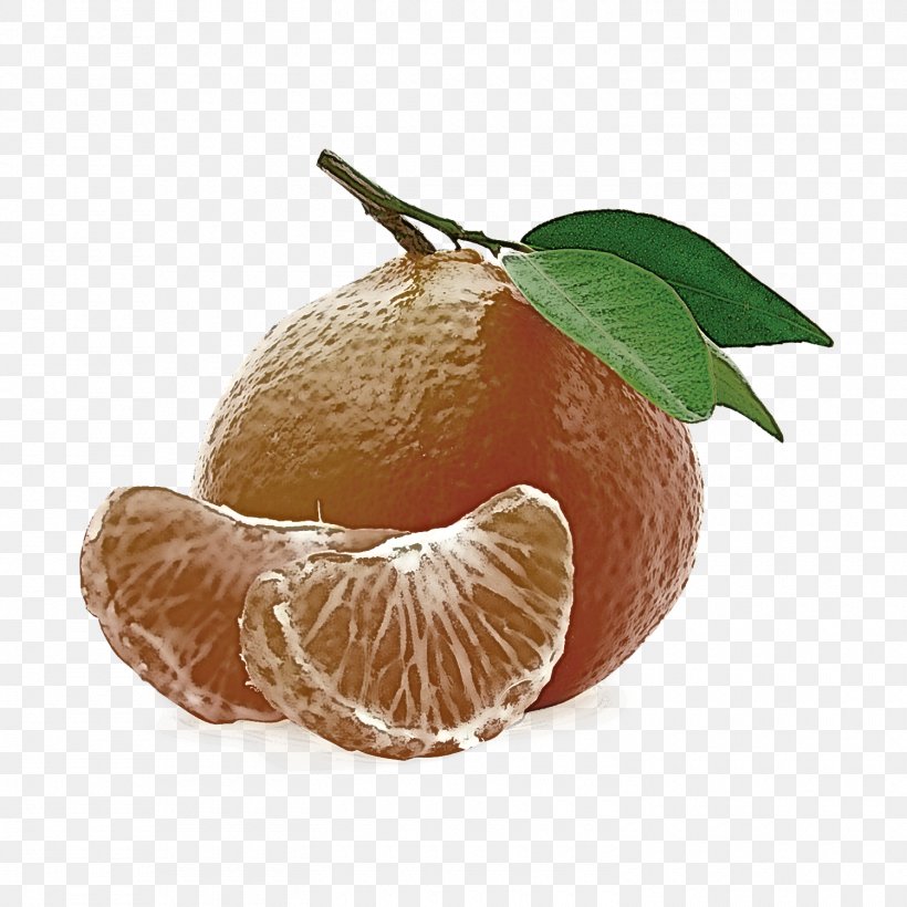 Mandarin Orange Fruit Citrus Clementine Tangerine, PNG, 1500x1500px, Mandarin Orange, Citrus, Clementine, Food, Fruit Download Free