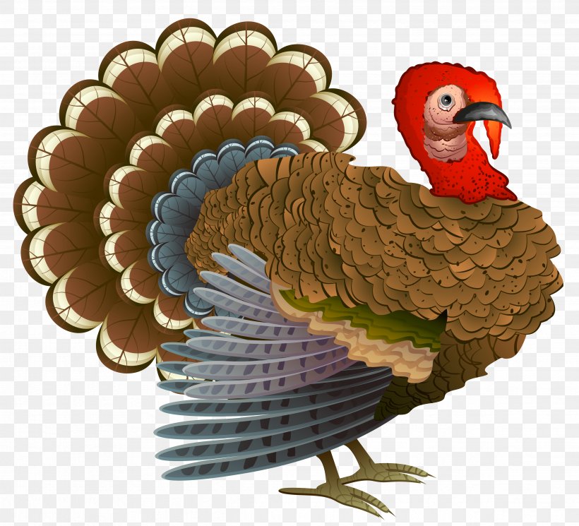 Turkey Thanksgiving Dinner Cornucopia Clip Art, PNG, 4759x4327px, Turkey, Autumn, Beak, Bird, Chicken Download Free