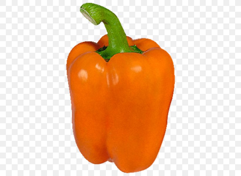 Bell Pepper Chili Pepper Vegetarian Cuisine Food Cayenne Pepper, PNG, 600x600px, Bell Pepper, Bell Peppers And Chili Peppers, Calabaza, Capsicum, Capsicum Annuum Download Free
