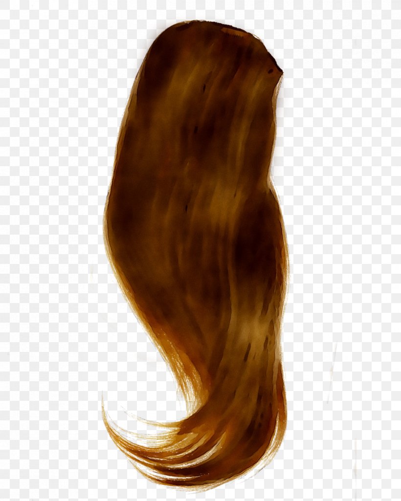 Hair Coloring Layered Hair Long Hair Brown Hair, PNG, 1218x1523px, Hair, Artificial Hair Integrations, Black Hair, Blond, Brown Download Free