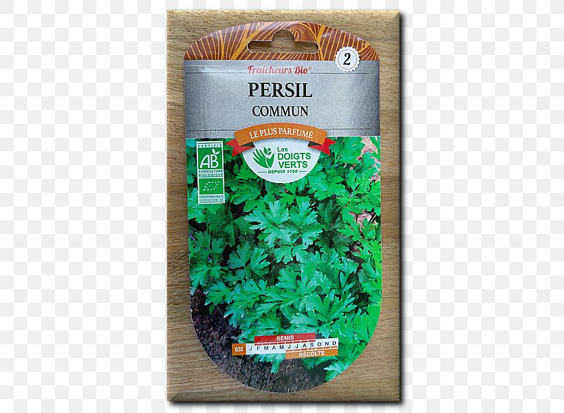 Italian Cuisine Herb Flat-leaved Parsley Vegetable Root, PNG, 600x600px, Italian Cuisine, Carrot, Celeriac, Cuisine, Flatleaved Parsley Download Free