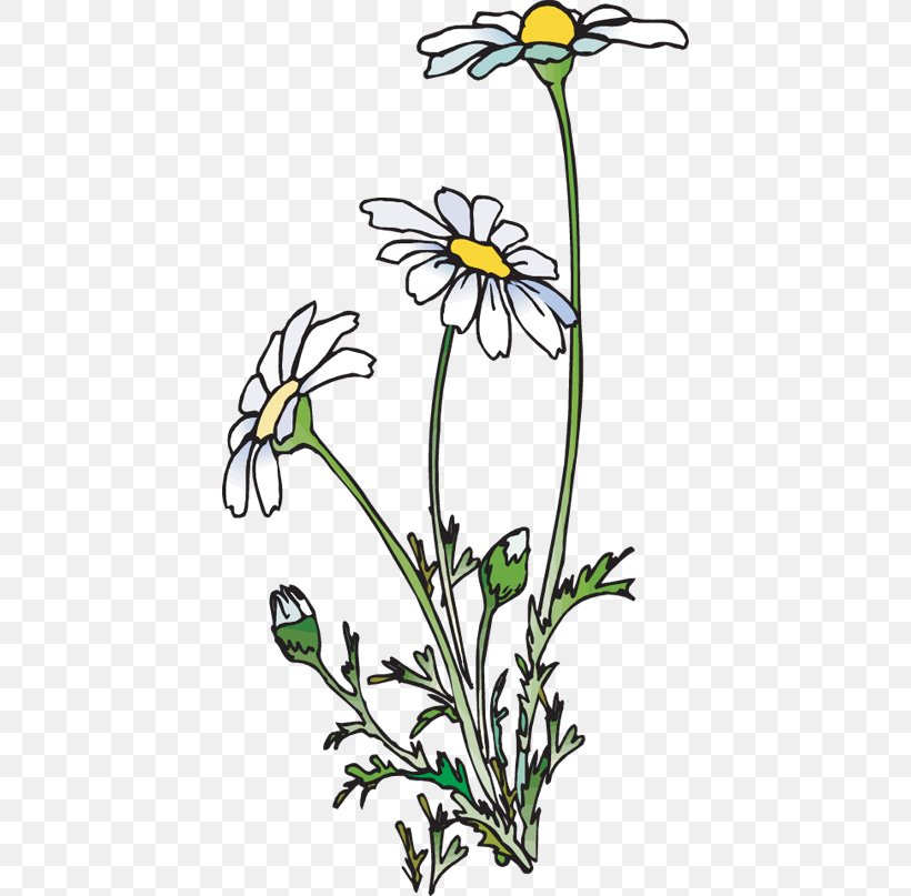 Common Daisy Poetry Clip Art, PNG, 420x807px, Common Daisy, Art, Artwork, Blog, Branch Download Free