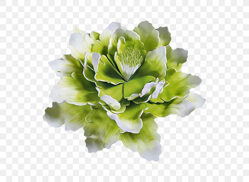 Floral Design Cut Flowers LiveInternet Clip Art, PNG, 600x600px, Floral Design, Artificial Flower, Blog, Cut Flowers, Diary Download Free