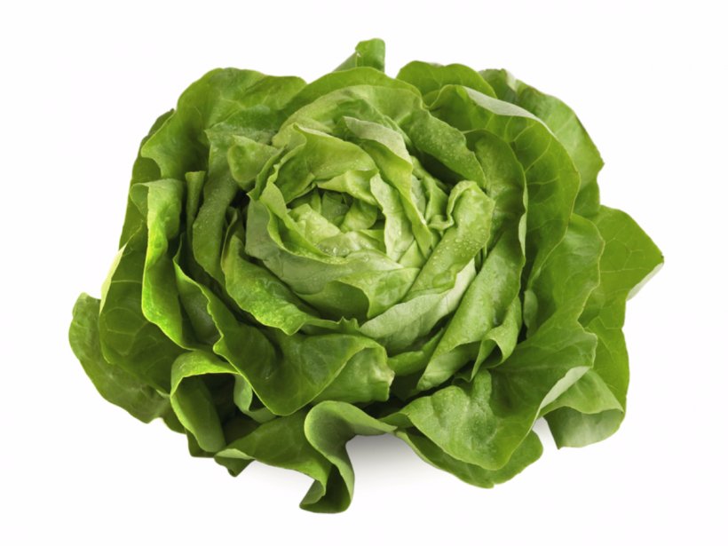 Organic Food Iceberg Lettuce Romaine Lettuce Leaf Vegetable Salad, PNG, 1200x900px, Organic Food, Cabbage, Chard, Collard Greens, Delivery Download Free