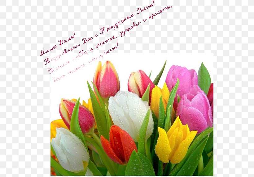 Tulip Flower Bouquet Desktop Wallpaper, PNG, 564x570px, Tulip, Bulb, Color, Cut Flowers, Floral Design Download Free