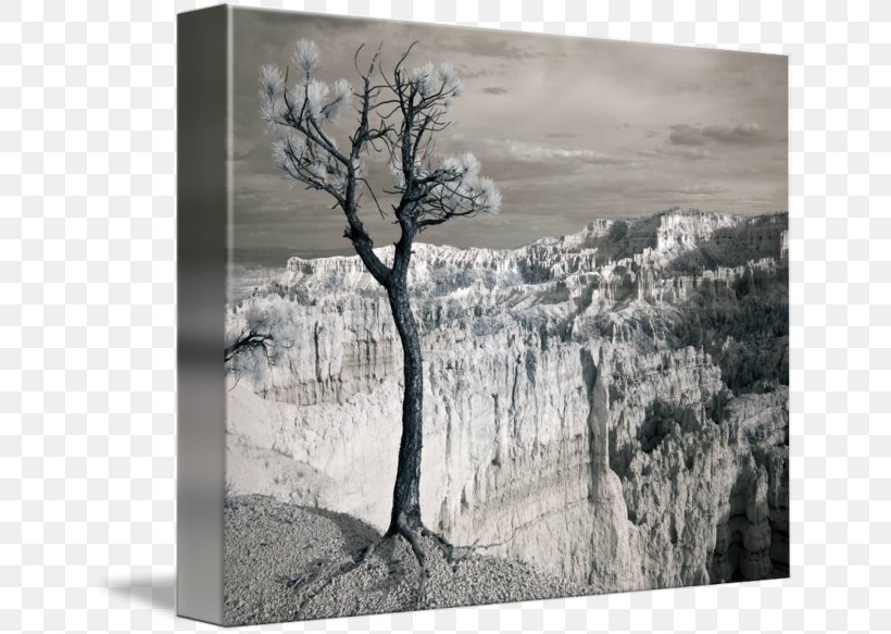Bryce Canyon National Park Gallery Wrap Painting /m/083vt Monochrome Photography, PNG, 650x583px, Bryce Canyon National Park, Art, Black And White, Canvas, Gallery Wrap Download Free