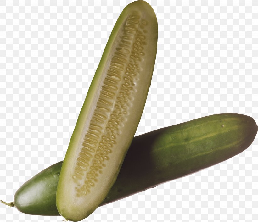 Cucumber Vegetable Clip Art, PNG, 2748x2366px, Pickled Cucumber, Cucumber, Cucumber Gourd And Melon Family, Cucumis, Digital Image Download Free