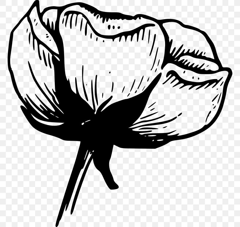 Flower White Black Rose Clip Art, PNG, 768x777px, Flower, Artwork, Beak, Bird, Black Download Free