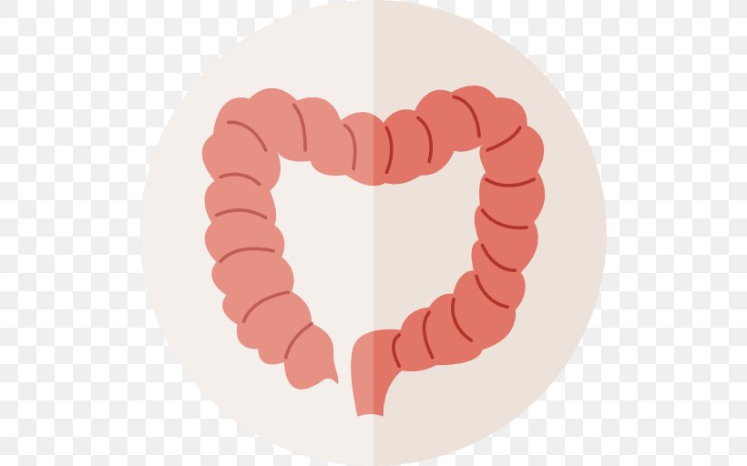 Large Intestine Gastrointestinal Tract Small Intestine Human Body, PNG, 512x512px, Watercolor, Cartoon, Flower, Frame, Heart Download Free